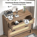 Comò moderno a 3 cassetti in rattan, cassettiera in legno marrone, mobile contenitore bohémien per camera da letto