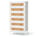 Cassettiera a 6 cassetti con mobiletto organizer in rattan PE